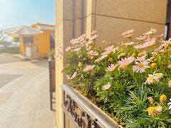 -大连海昌东方水城