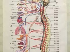 -1号足道推拿会馆