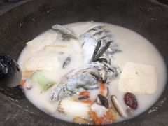 鲜潭蒸汽石锅江团鱼-鲜潭蒸汽石锅鱼(五道口购物中心店)