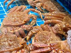 -吉友粥底火锅(方斜路店)