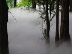 -东湖落雁景区