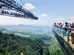 -梦幻奥陶纪景区