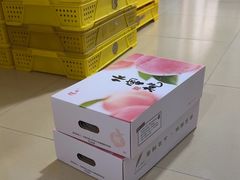 -老袁家蜜桃农场·阳山水蜜桃