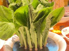 -山河屯铁锅炖鲜鹅·东北菜(开发区一店)