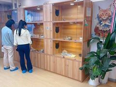 -猫十亿·布偶金渐层·曼基康矮脚猫舍(青年路店)