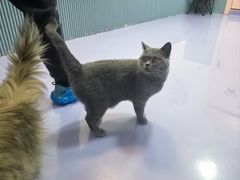 -1013 PET SHOP 宠物商店(近铁城市广场店)