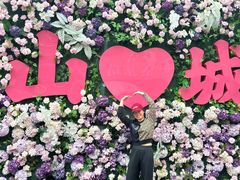 -重庆十八梯传统风貌区