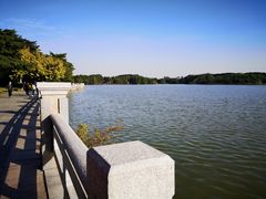 -海珠湖公园