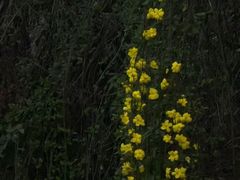 -西湖文化广场