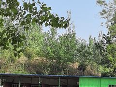 -西部长青自然儿童乐园