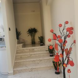 -海涛医疗美容·面部抗衰·注射美鼻