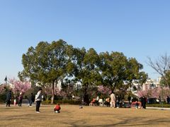 -新江湾城公园