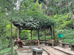 -青城山