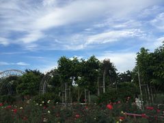 -广州花之恋城堡酒店