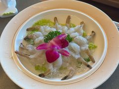 -浅深Cheersum(曹杨店)