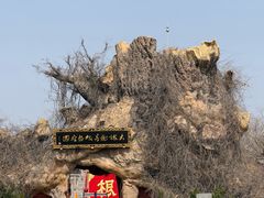 -大槐树寻根祭祖园
