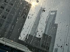 -黄浦江游览快线(金陵东路码头)
