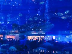 -成都浩海立方海洋公园