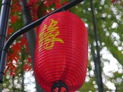 -杭州黄龙洞