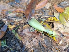 -华蓥山天意谷景区