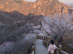 -大岭沟猕猴桃谷风景区
