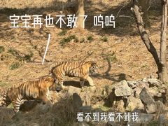 -杭州野生动物世界
