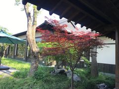 -东园小馆·早茶·淮扬小炒(宋夹城店)