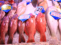 -202特色排档(五缘湾店)