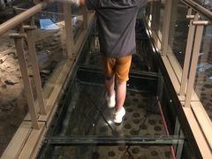 -元代水闸遗址博物馆