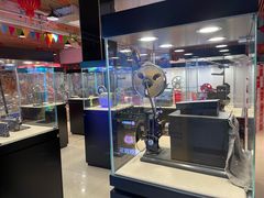 -华美国际影城(旧宫永辉店)