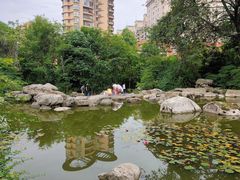 -神仙树公园