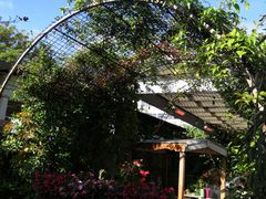 -The Grounds of Alexandria