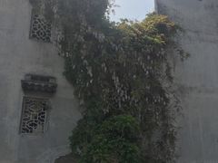 -老谭虾王蟹皇·龙虾·烧烤(蝴蝶湾店)