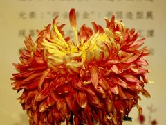 -汇龙潭