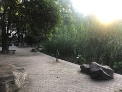 -西安市长乐公园