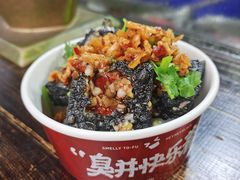 -黑色经典臭豆腐·湖南特产(步行街店)