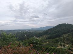 -乌石村