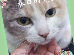 -宠颐生动物医院·小陆分院