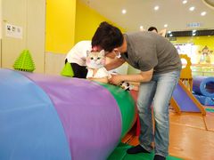 -金宝贝早教中心(北洋校区)