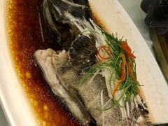豉汁蒸多宝鱼-上海会馆(香港名都店)