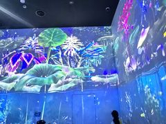 -中国湿地博物馆