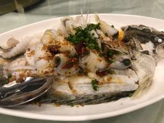 -老洋坊饭店(厚街东宝路店)