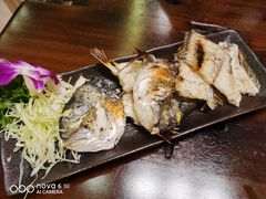 煎金鲷鱼骨-本格·深夜食堂(北理工店)