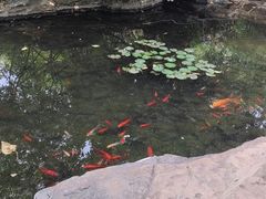 -映月潭温泉