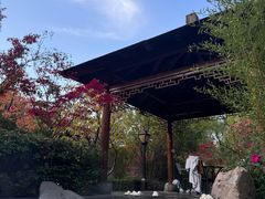 -麦积山温泉