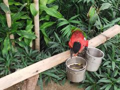 -南宫五洲植物乐园