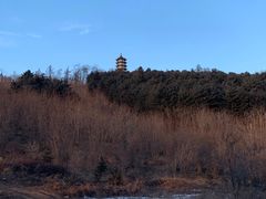 -黄椅山火山森林公园