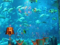 -迪拜帆船酒店海底餐厅