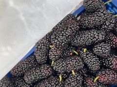 -江杨农产品批发市场