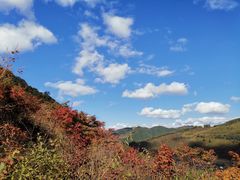 -龙道沟景区